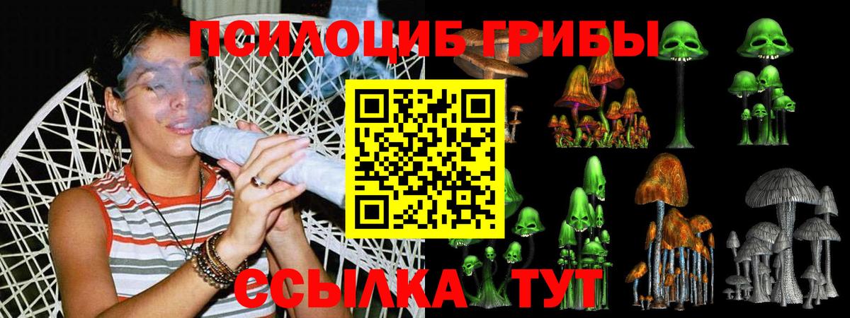 Псилоцибиновые грибы мухоморы Алексеевка
