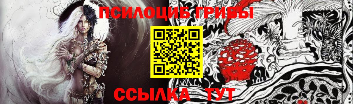 Галлюциногенные грибы Cubensis  Вход с VPN  Алексеевка 